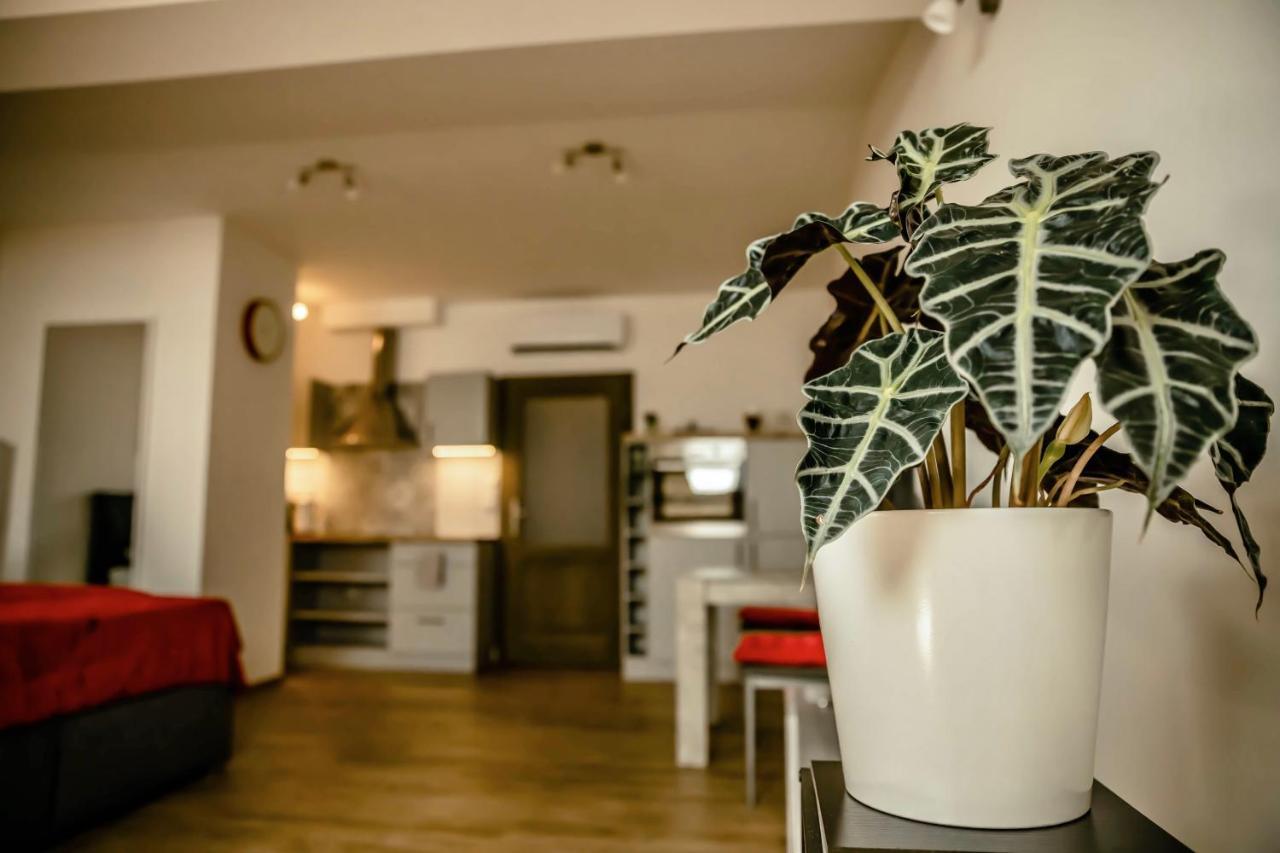 Podkrovni Studio Na Velkem Namesti S Wi-Fi Zdarma Hradec Kralove Luaran gambar